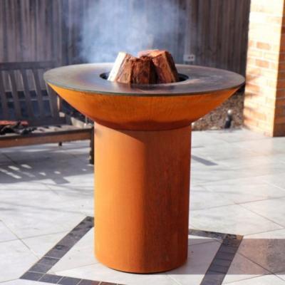 Fire Pit with Grill